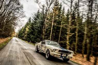 Ormanda araba sürüyor..