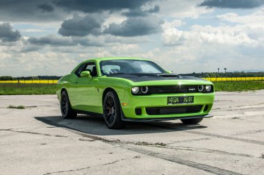 Ormanın ortasında yeşil bir araba..