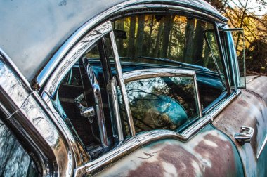 ormanda vintage araba