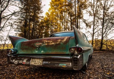 Ormanda terk edilmiş eski bir araba.