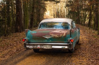 Eski paslı araba ormanda yola park edilmiş..