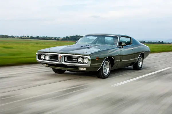 Old American Car Forest — Stock Photo, Image