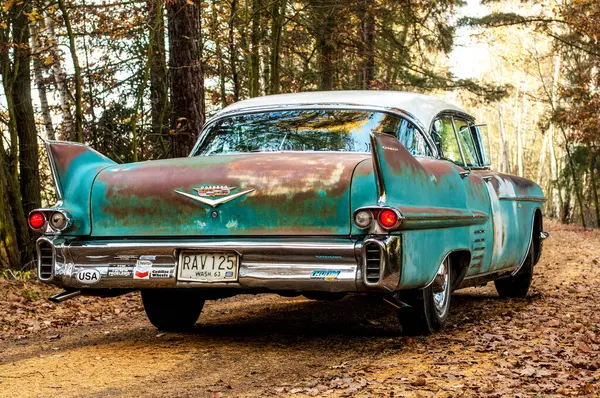 Παλιό Αυτοκίνητο Στέκεται Στο Δάσος — Φωτογραφία Αρχείου