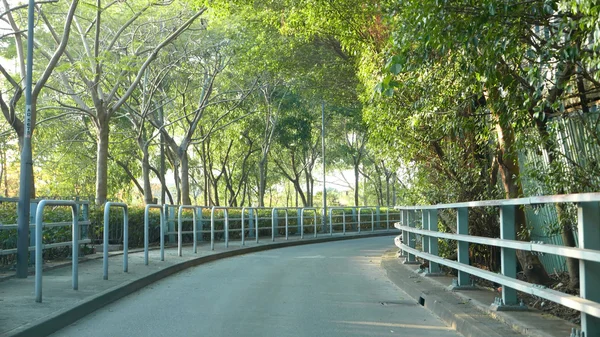 Tagsüber grüne Bäume rund um die Straße — Stockfoto