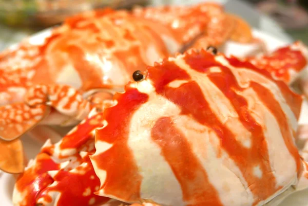 白盘子煮蟹 — 图库照片