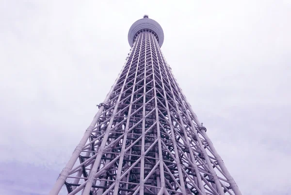 Japan Tokyo skytree tornbyggnad med himmel — Stockfoto