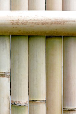 dokulu sütun bambu duvar arka plan