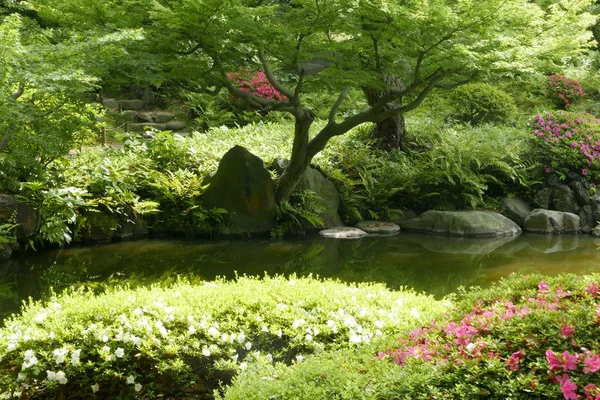 Λίμνη, φυτό, δέντρο, λουλούδι στον κήπο ιαπωνικό zen — Φωτογραφία Αρχείου