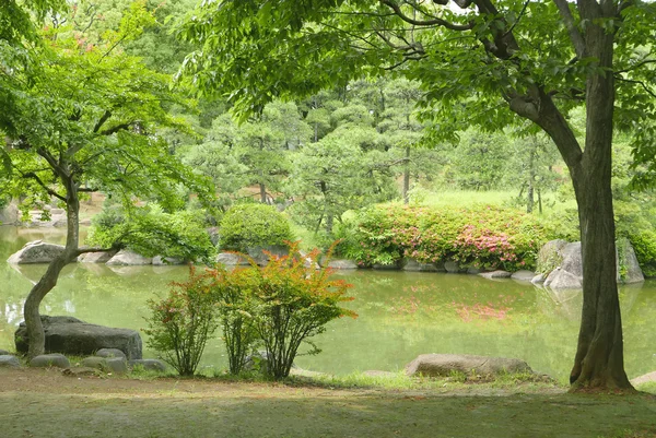 湖，绿色的植物，树，花在日本禅宗花园 — 图库照片
