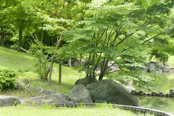 日本の禅庭の湖、緑の植物、木、草します。 — ストック写真