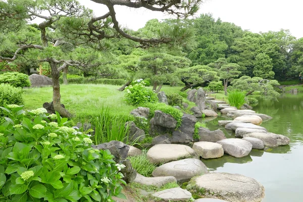 Hierbas, puente de piedra y estanque de agua en jardín zen japonés —  Fotos de Stock
