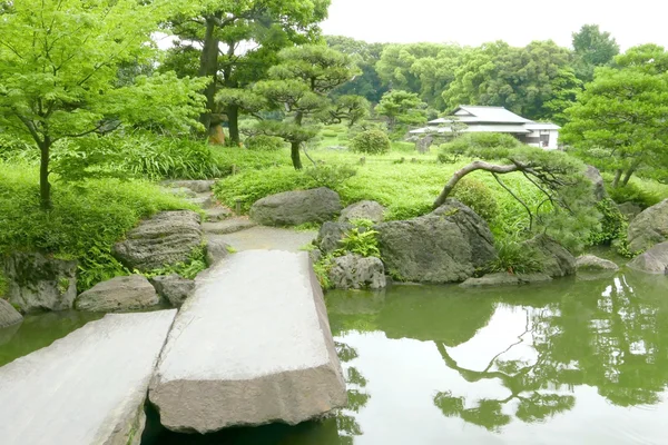 Stenen brug, Japans Paviljoen, Pinus thunbergii boom — Stockfoto