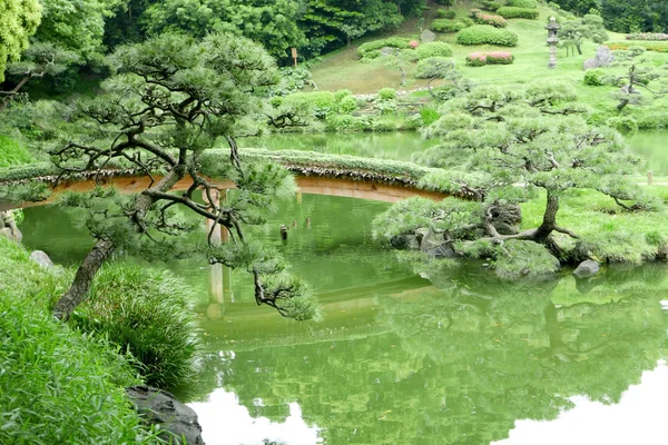 Colline verte, pont, lac dans le jardin zen japonais — Photo