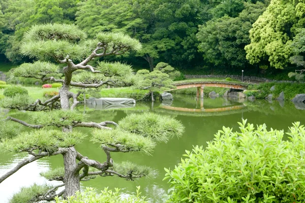 Pine trees, footpath, bridge with reflection in private garden — Stock Photo, Image