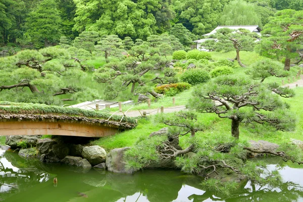 Pijnbomen, voetpad, brug en Japans Paviljoen gebouw — Stockfoto