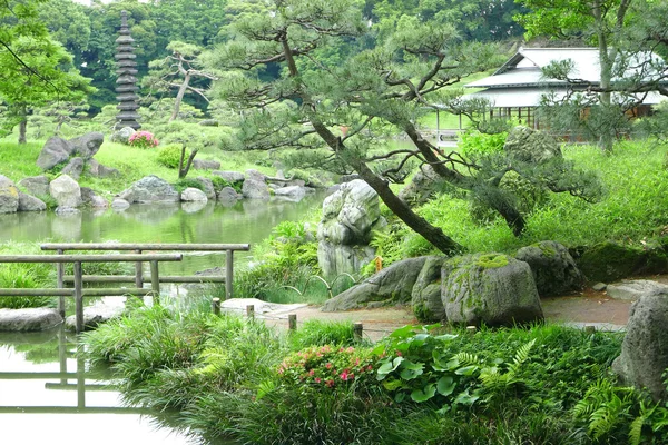 Pinos, sendero, puente, edificio del pabellón en jardín zen —  Fotos de Stock