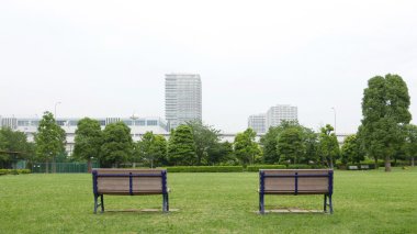 İki ahşap banklar ve çim zemin genel Park