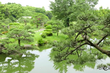 Çam ağaçları, patika, otlar ve zen garde Nehri
