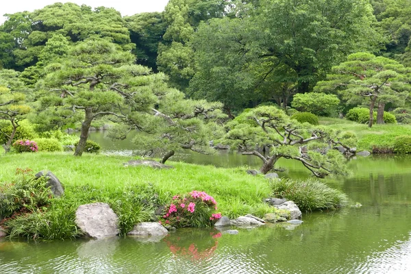 Alberi di pino, erbe e fiume nel giardino zen giapponese — Foto Stock