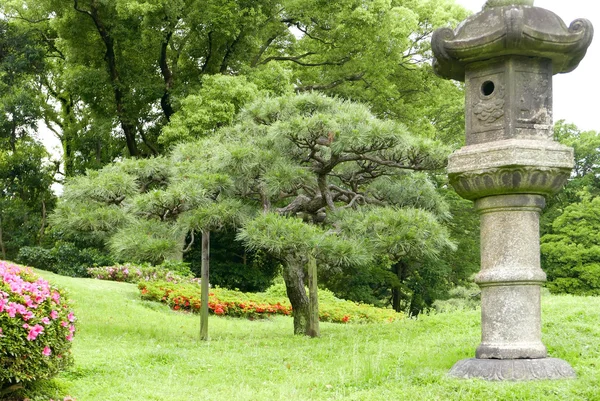 Japonais décoration en pierre de parc extérieur et pins — Photo