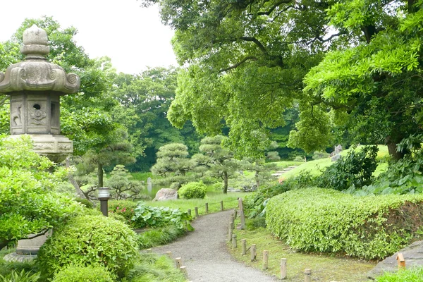 松の木、緑の植物、日本の禅庭の小道 — ストック写真