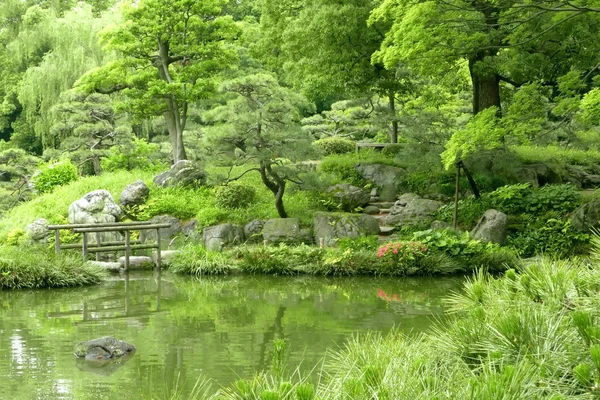 Pinhais, ponte com reflexão no jardim zen japonês — Fotografia de Stock