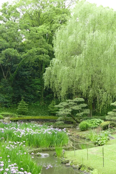 Árboles verdes verticales, puente, flores en el parque — Foto de Stock