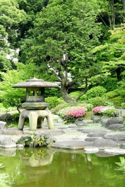 Japon açık taş fener, zen bahçesinde çiçek bitki