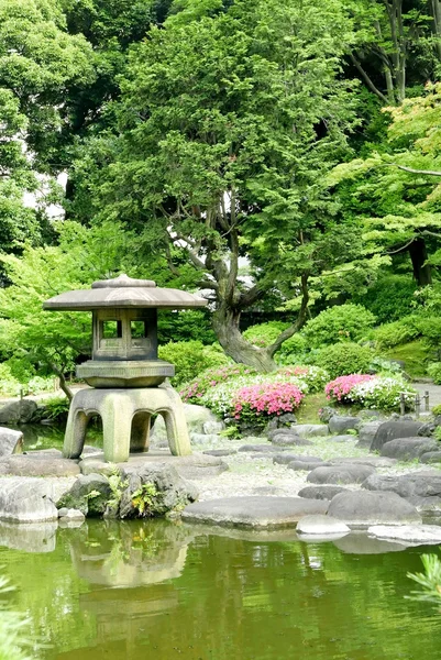 Japanska utomhus sten lykta, blomma växter i zen garden — Stockfoto