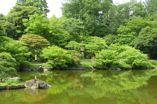 Φυτά, νερό λίμνη με αντανάκλαση στο γιαπωνέζικο κήπο ζεν — Φωτογραφία Αρχείου