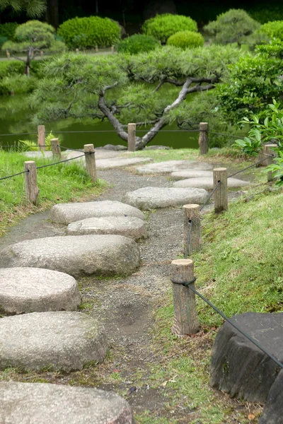 垂直方向の松の木、日本の禅庭の石の道 — ストック写真