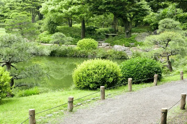 Πάγκος, πράσινα φυτά, πέτρινος δρόμος και λίμνη στον κήπο — Φωτογραφία Αρχείου
