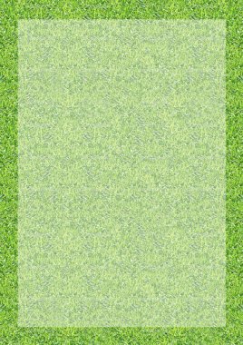 Dikey yeşil çim doku arka plan sınırı