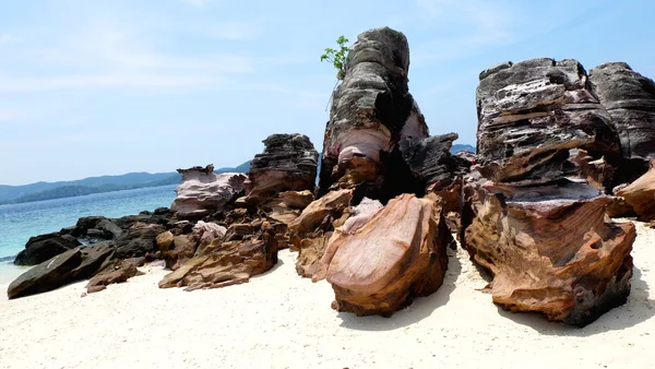 Einige braune Felsen am Strand — Stockfoto