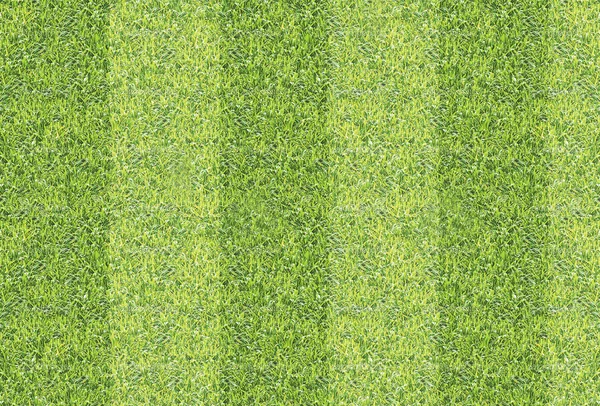 Naadloos groen gras textuur achtergrond. — Stockfoto