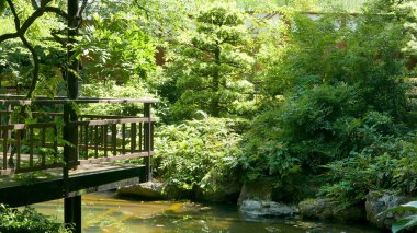 Japon zen bahçe bitki ile