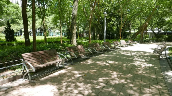 Few wooden benches are in the park — Stock Photo, Image