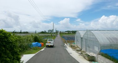 Japonya kırsal çiftlik