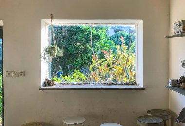 Parlak bir kafe, parlak yeşil bitkilere bakan bir pencere ve rahat bir iç mekan.