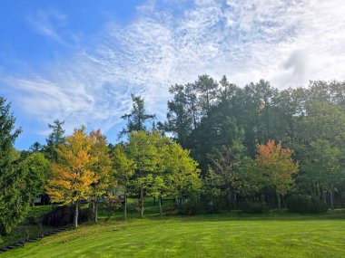 Renkli yapraklar ve yemyeşil çimenler güzel bir gökyüzünün altında pitoresk bir manzara yaratır.