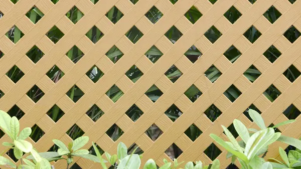 Jardinería cerca marrón con plantas verdes — Foto de Stock
