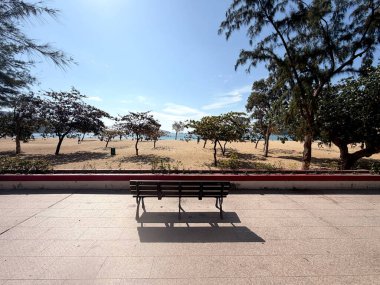 Boş park bankı, güneşli bir günde kumlu bir sahile, dağınık ağaçlara ve sakin okyanusa bakıyor.