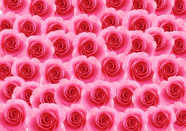 Blommor Rosa Ros texturerat bakgrund — Stockfoto