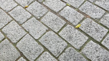 Açık taş patika yol dokulu arka plan