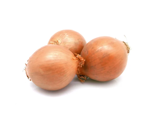 Brown Onions with shadow — Stock Photo, Image