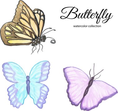 Kelebek elementi suluboya boya