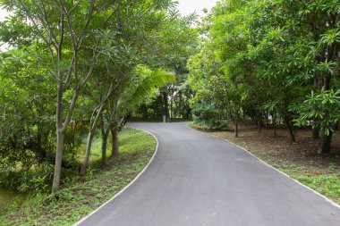 Bisiklet lane ortak yeşil bahçe