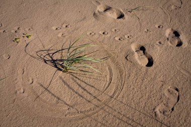 Rüzgarın ayak izleri ve sanat eserleri.