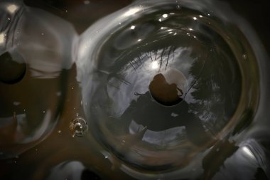 Kurbağa yumurtası. Bir yumurtanın yüzeyindeki fotoğrafçının oto portresi..