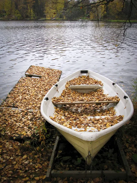 Σκάφος Είναι Γεμάτο Φύλλα Που Πέφτουν Υπάρχει Μια Αίσθηση Φθινοπώρου — Φωτογραφία Αρχείου